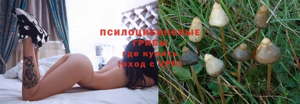 спиды Алексеевка