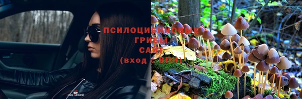 СК Алексин